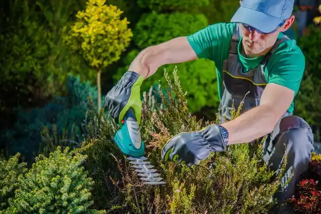 landscaping services Accord